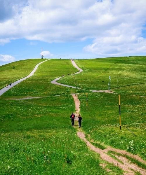 Feldberg