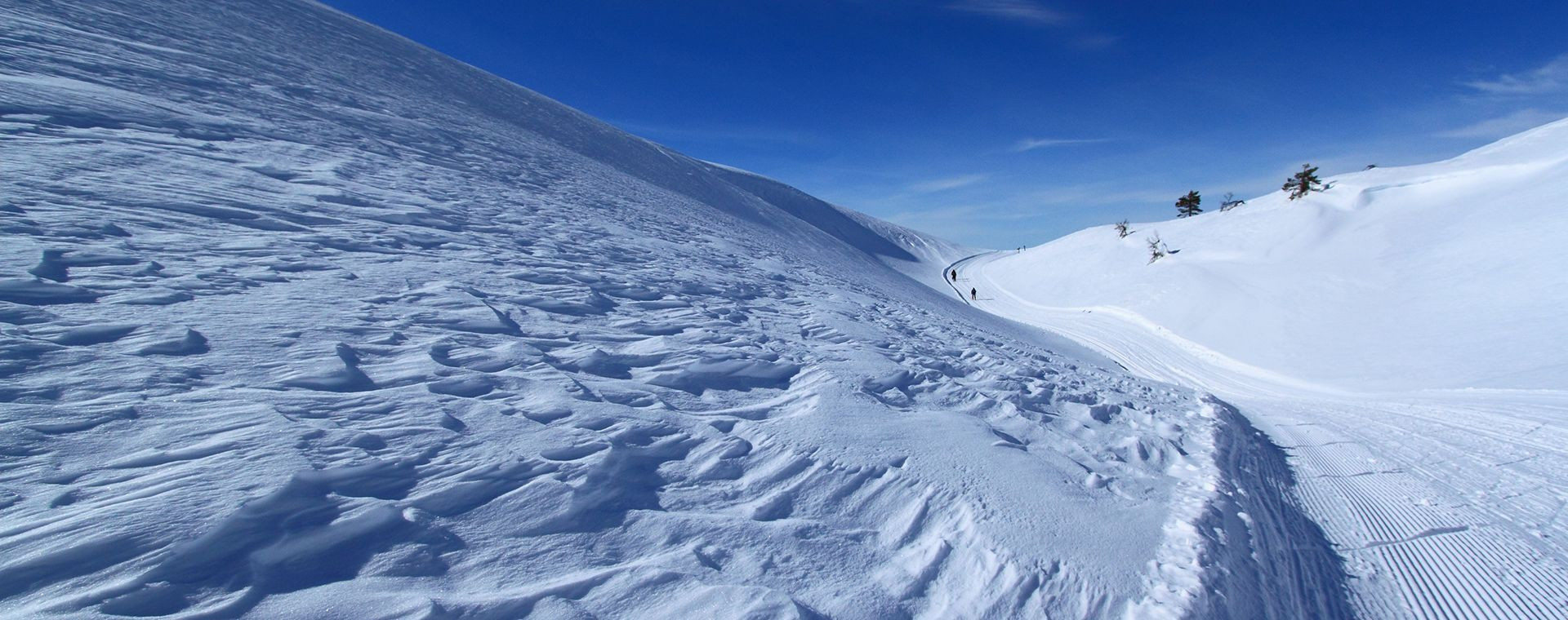 Felltrek - Finlande