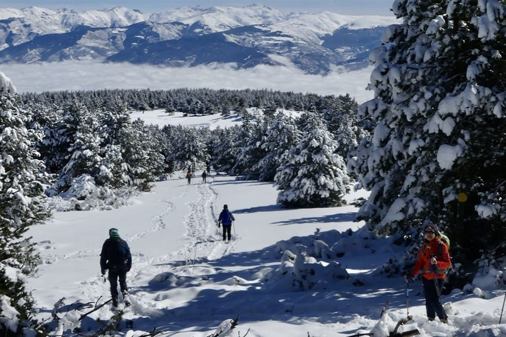 Wald und Berge im Winter - Pyrénées-Orientales - Frankreich