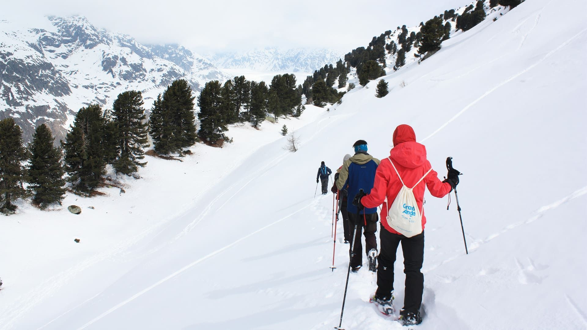 Waldspaziergang nahe dem Aletschgletscher - Schweiz
