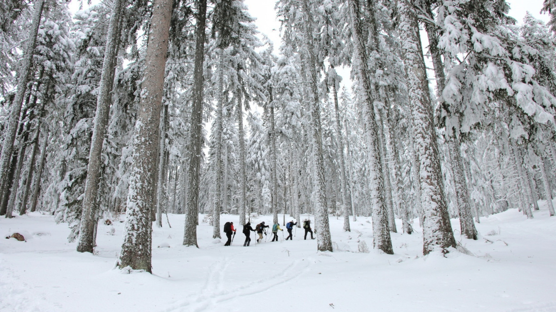 Wanderkino im Vercors