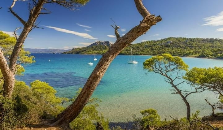 Strand Notre-Dame zwischen den Pinien - Porquerolles - Provence