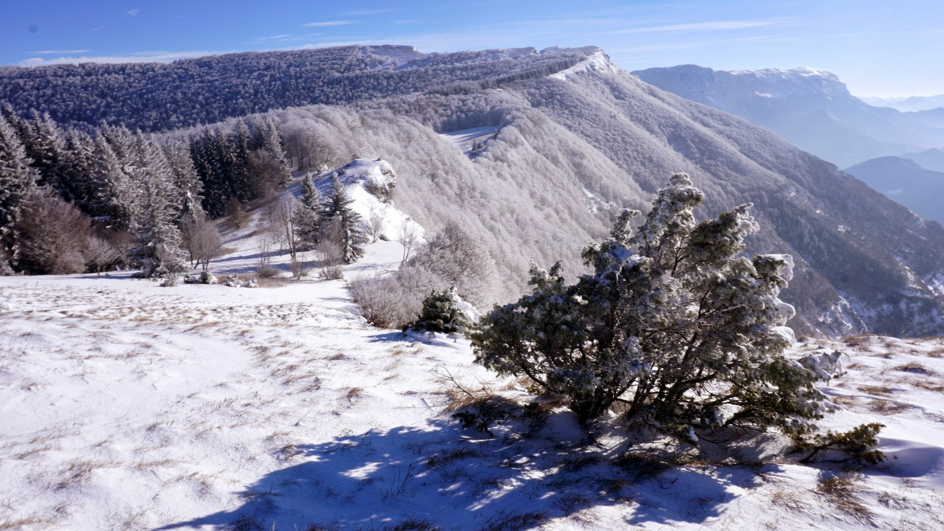 Gruppe durchquert eine verschneite Hochebene - Vercors - Frankreich