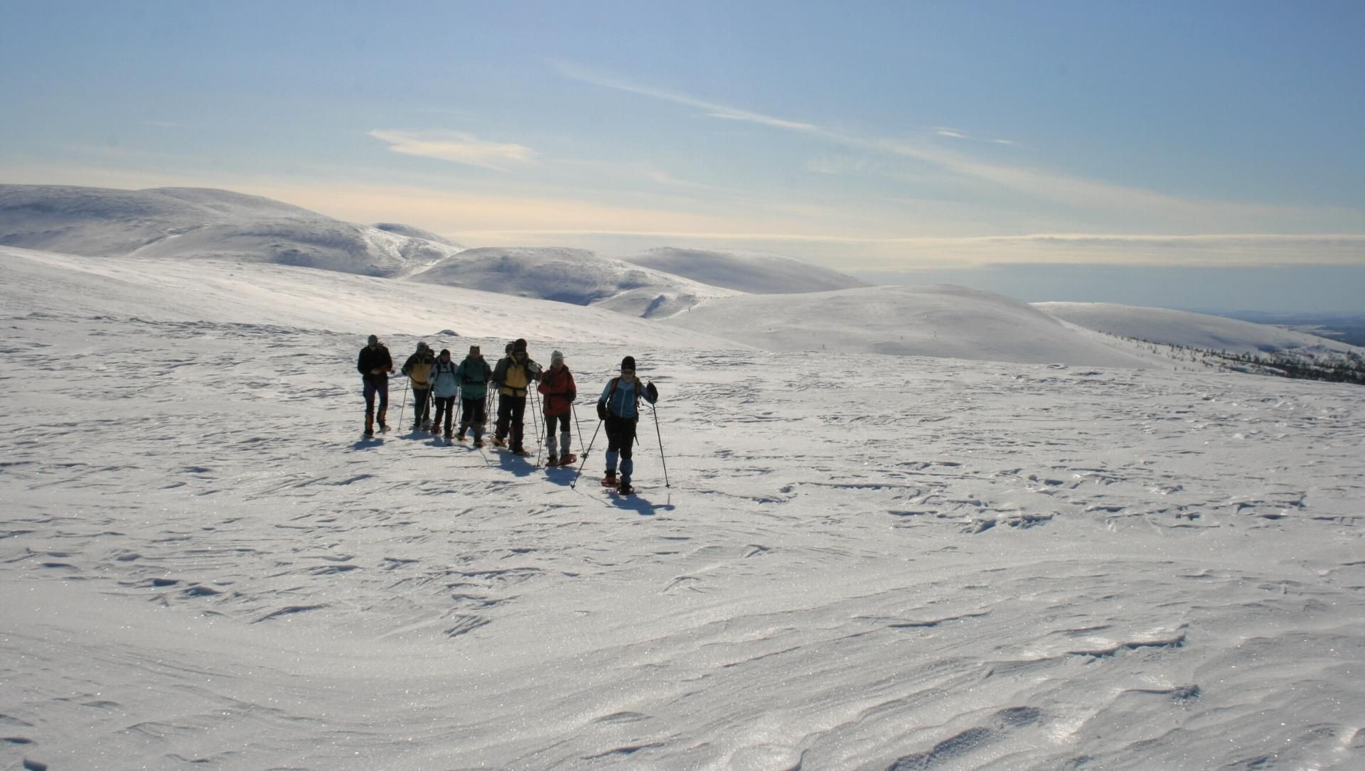 Schneeschuhgruppe im finnischen Lappland - Lappland - Finnland