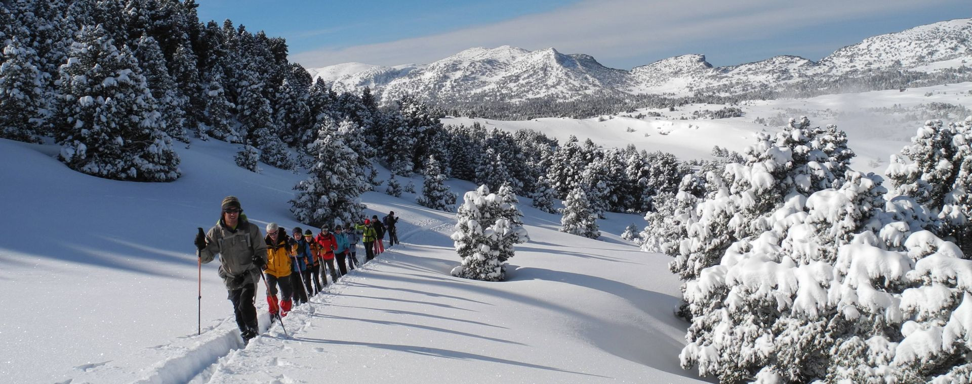 Schneeschuhgruppe im Schnee - Vercors - Frankreich