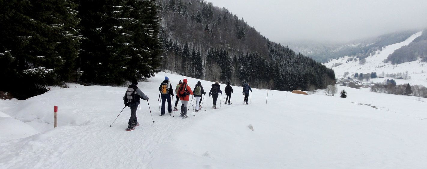 Schneeschuhgruppe im Schnee - Schwarzwald - Deutschland