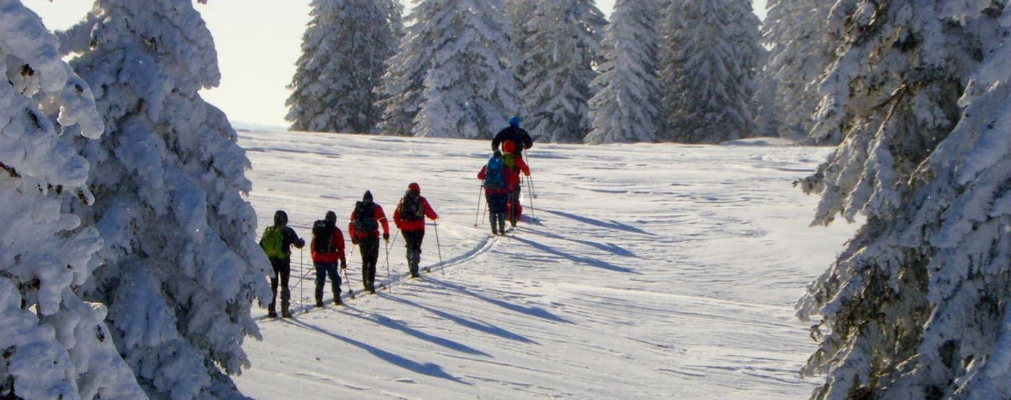 Gruppe beim Skilanglauf im verschneiten Wald - Jura - Frankreich