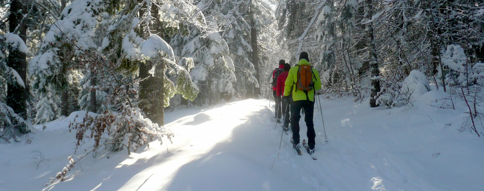 Langlaufgruppe zwischen verschneiten Tannen - Vercors - Frankreich