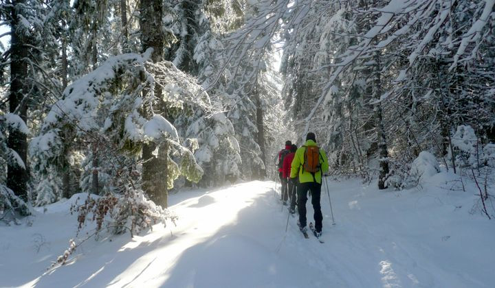 Schneeschuhgruppe im verschneiten Wald - Vercors - Frankreich