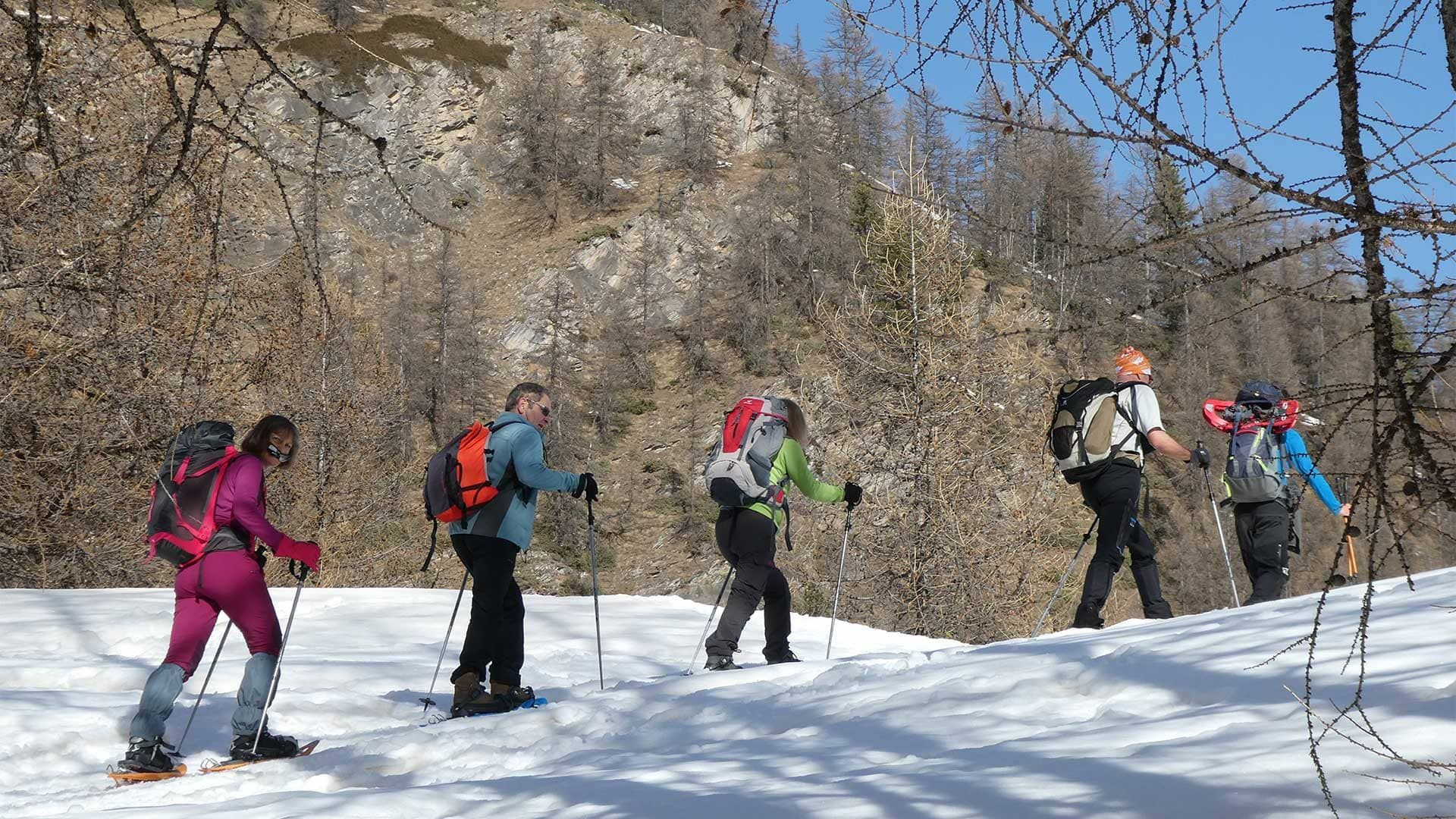 Schneeschuhgruppe im Wald - Queyras - Hautes-Alpes - Frankreich