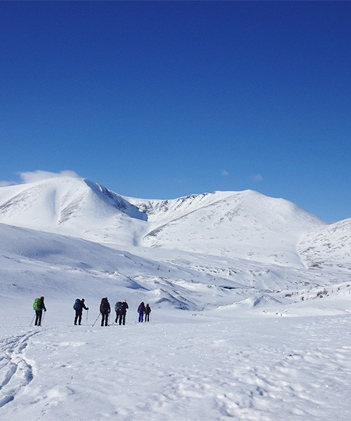 Gruppe auf einer Winterwanderung über ein verschneites Bergplateau
