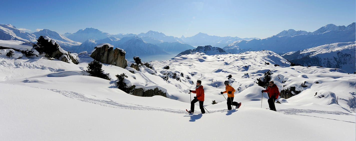 Schneeschuhgruppe vor dem Aletschgletscher - Wallis - Schweiz