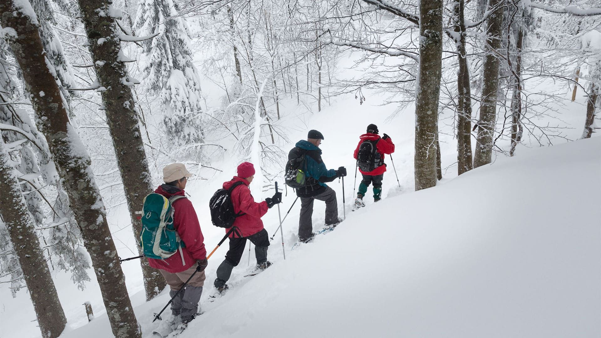 © Lex Van Den Bosch Schneeschuhwanderung durch den verschneiten Wald - Jura - Frankreich