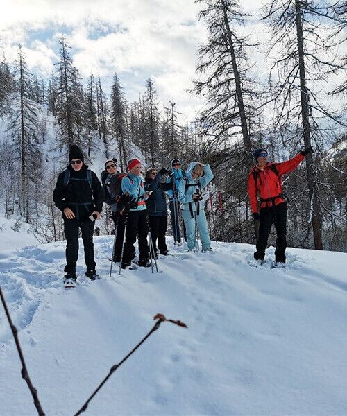 Geführte Schneeschuhgruppe in einem verschneiten Lärchenwald - Alpen