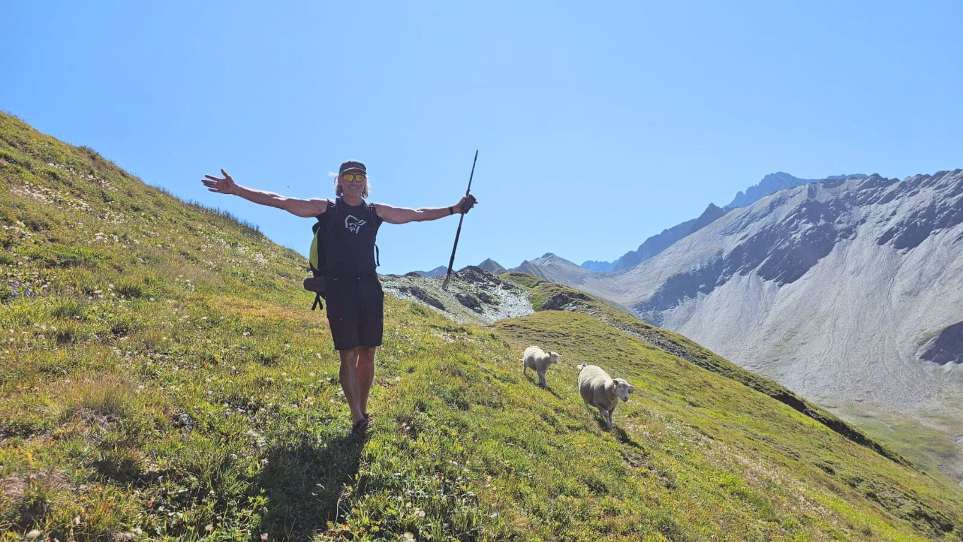 Wanderin mit ausgebreiteten Armen, gefolgt von Schafen - Tour du Mont-Blanc - Alpen