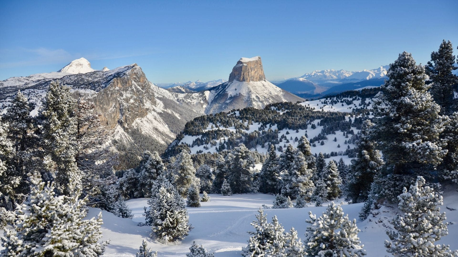 © Matthieu Offredi Verschneiter Mont Aiguille zwischen raureifbedeckten Tannen - Vercors-Hochebene - Frankreich