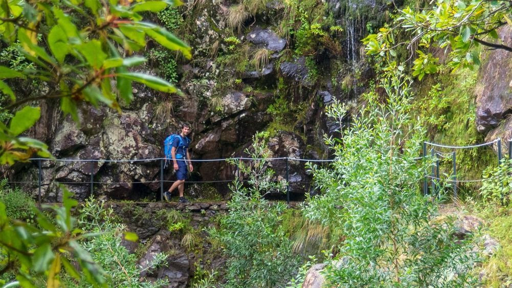 Wanderer auf einer Waldlevada - Madeira - Portugal