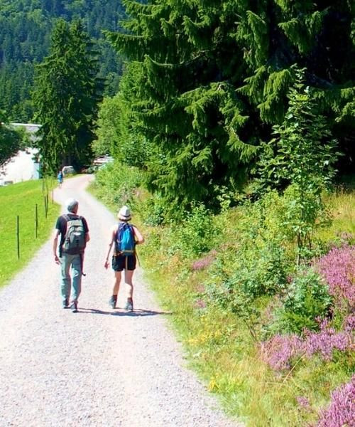 Wanderer auf dem Weg durch den Schwarzwald - Deutschland