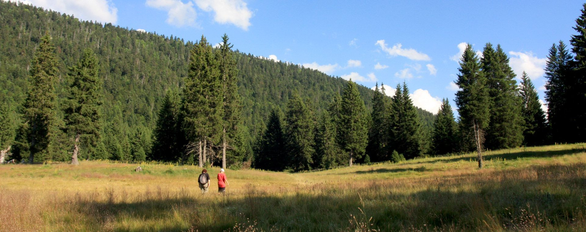 Wanderer auf der Ebene von Herbouilly - Vercors - Frankreich