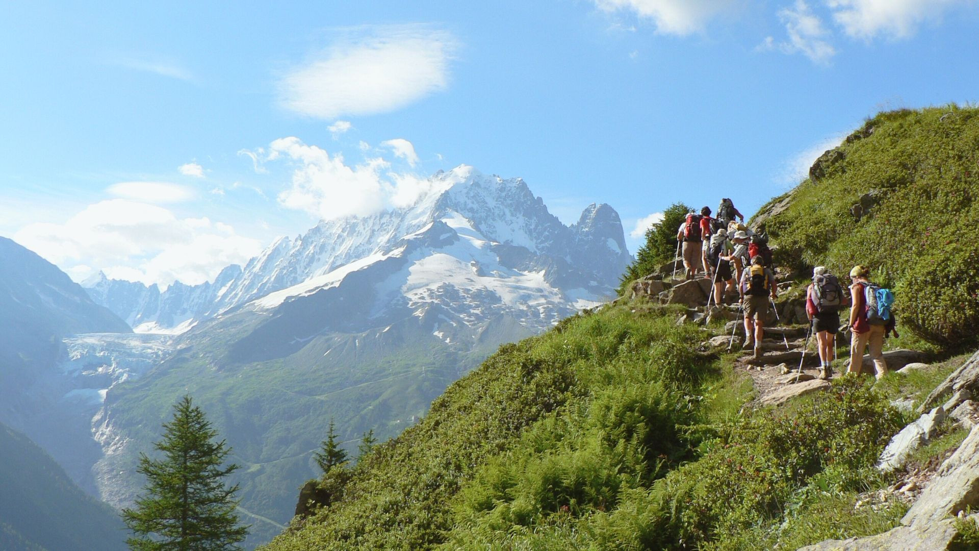 Wanderer auf dem Weg mit Blick auf die Aiguille Verte - Tour du Mont-Blanc - Frankreich