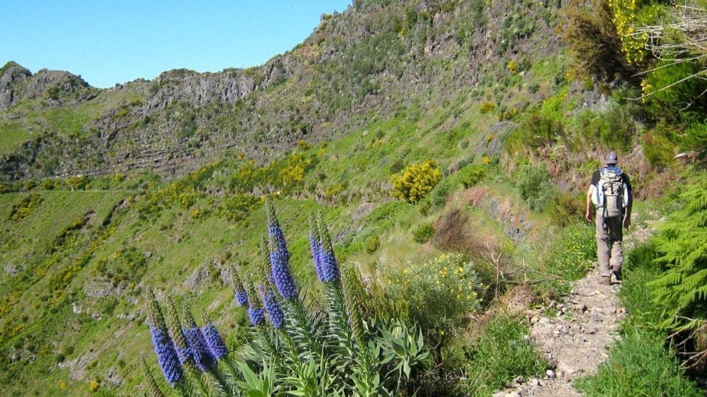 Wanderung zur Levada de Lombo do Mouro - Madeira - Portugal