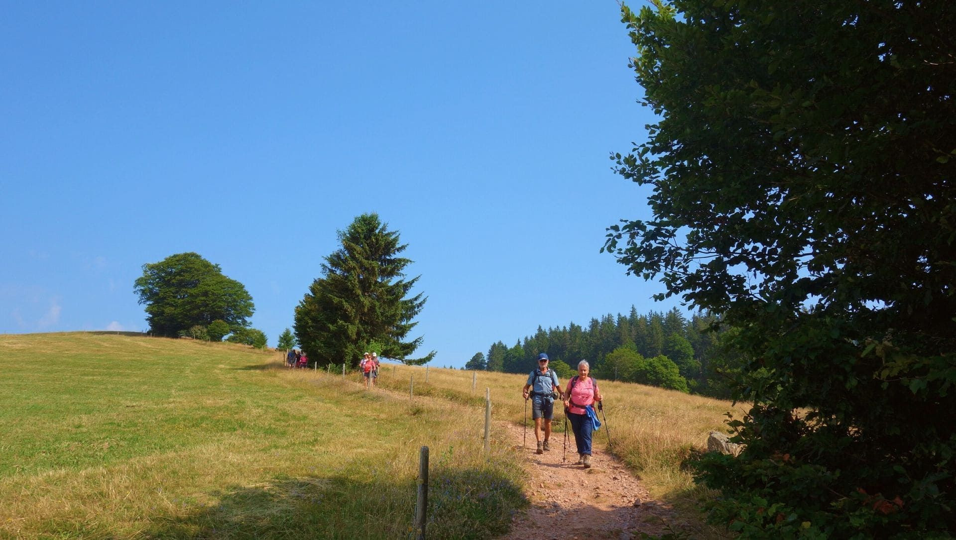 Wanderung im Schwarzwald - Deutschland