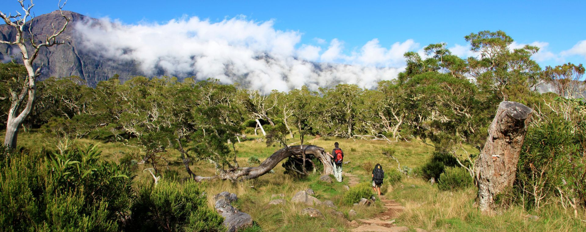 Wanderung auf der Plaine des Tamarins - Réunion - Frankreich
