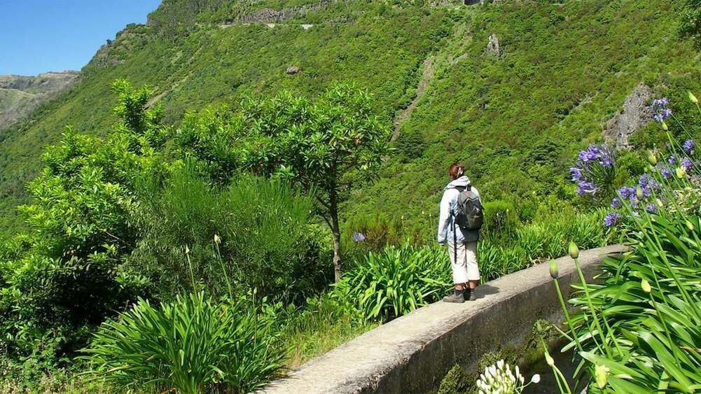 Wanderung auf der Levada do Norte - Madeira - Portugal