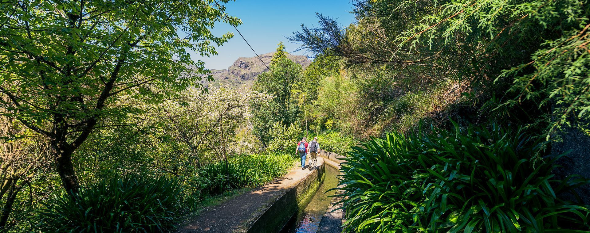 Wanderung auf dem Caminho Real da Encumeada - Madeira - Portugal