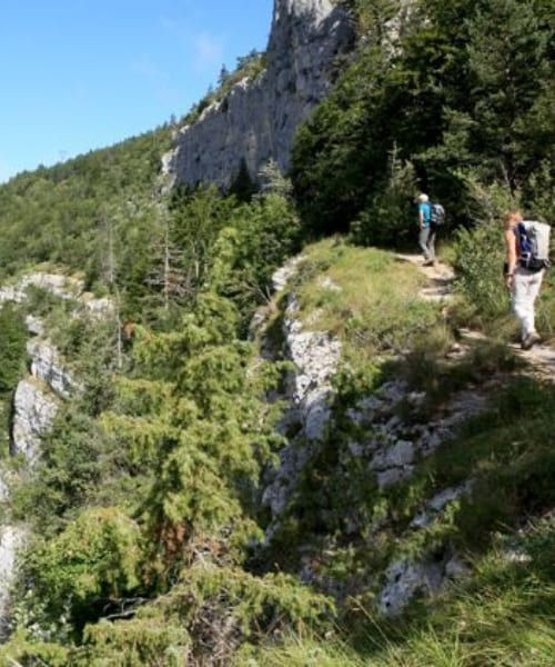 © Wilfrid Valette Wanderweg zwischen Autrans und Rencurel - Vercors - Frankreich