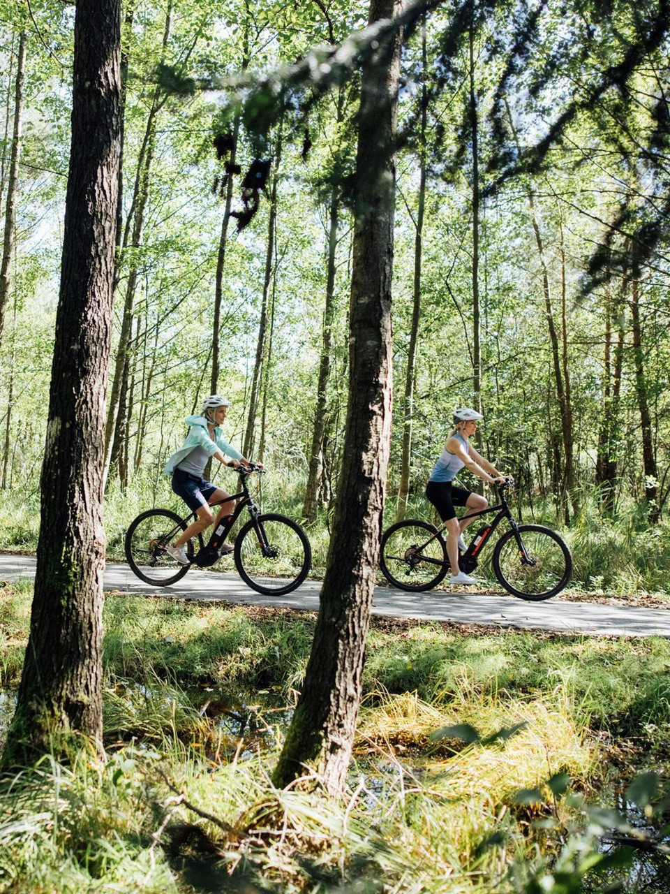 Das E-Bike