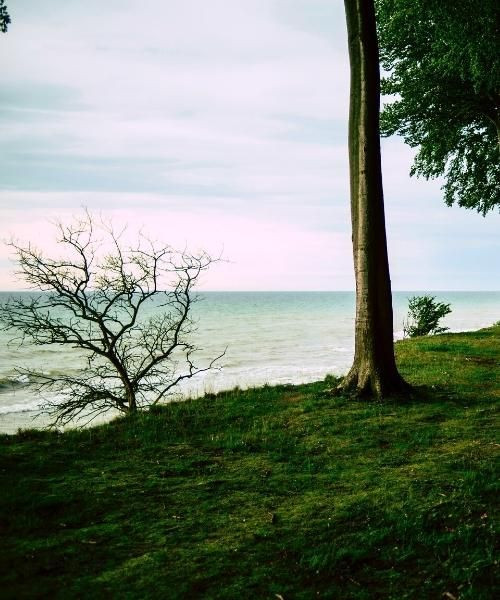 Küste der Insel Møn - Dänemark