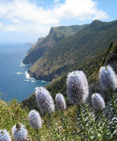 Tag 3: Wanderweg an der Nordküste Madeiras