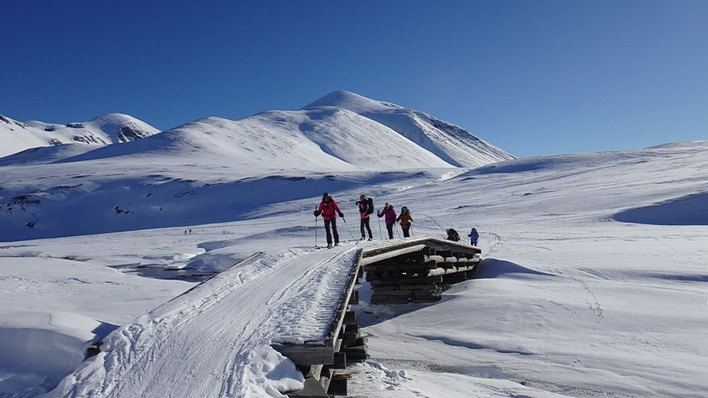 Tag 7 - Skitour in Rondane - Norwegen