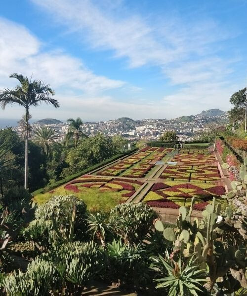 © David Praire Garten in Funchal