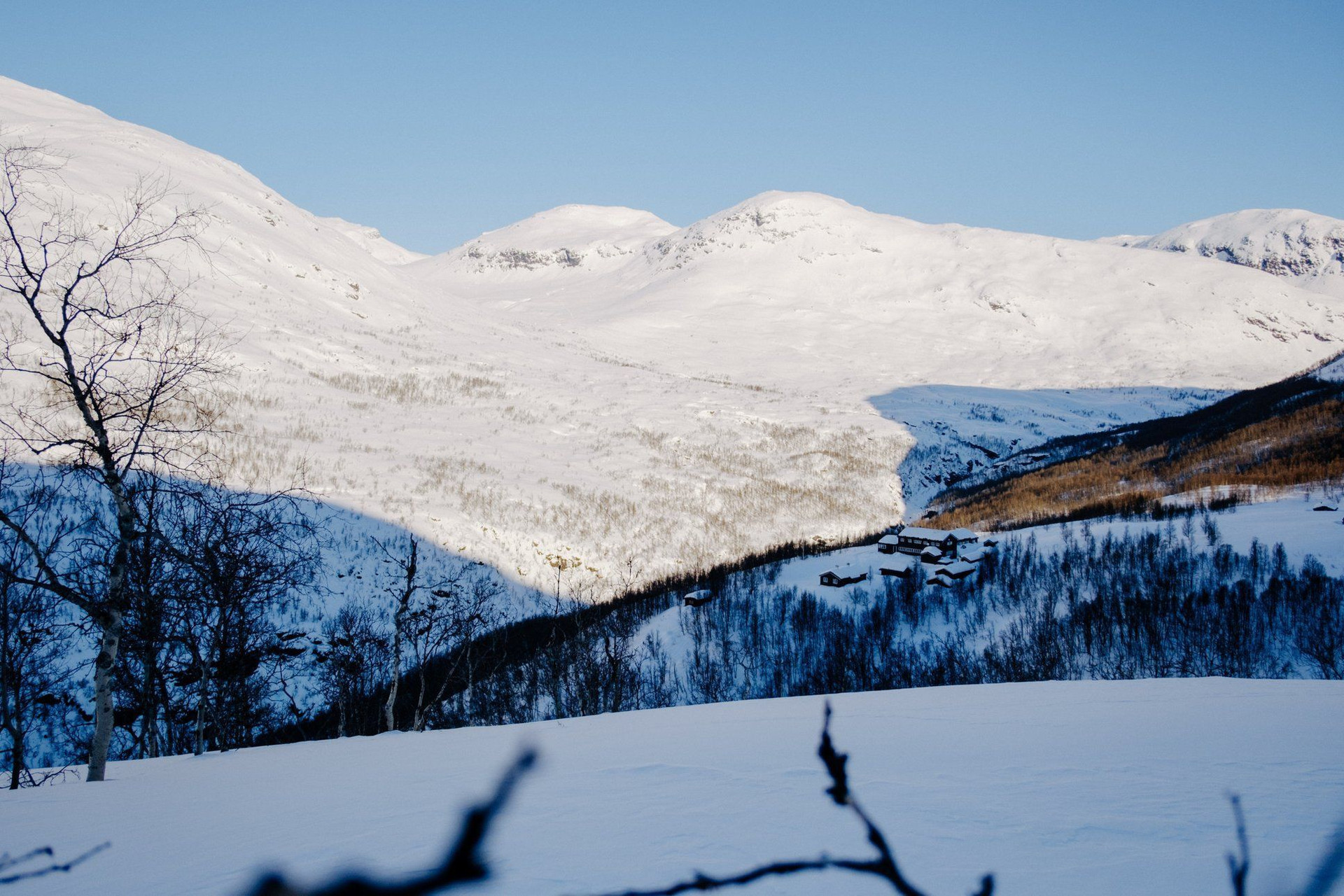 Verschneite Berge und bewaldetes Tal im Winter - Zentralmassiv - Frankreich