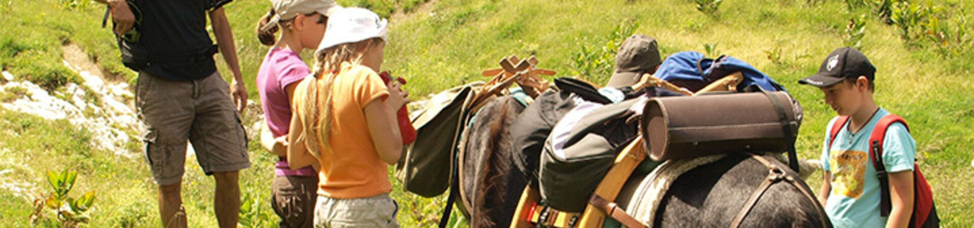 Alpen: Wanderreisen für die ganze Familie