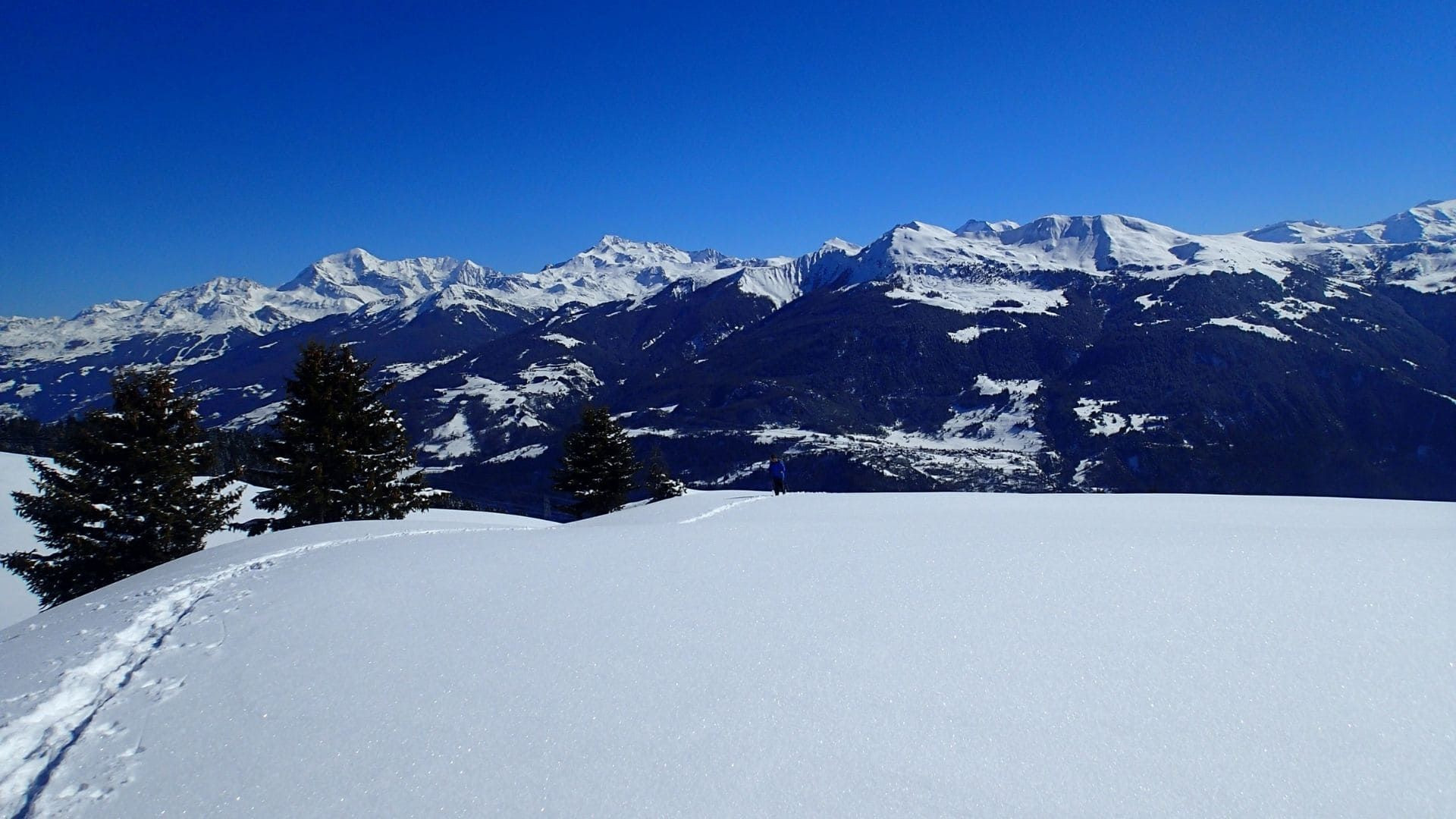 Schneeschuhwanderung mit Blick auf die verschneiten Alpen - La Combe au Roi - Frankreich
