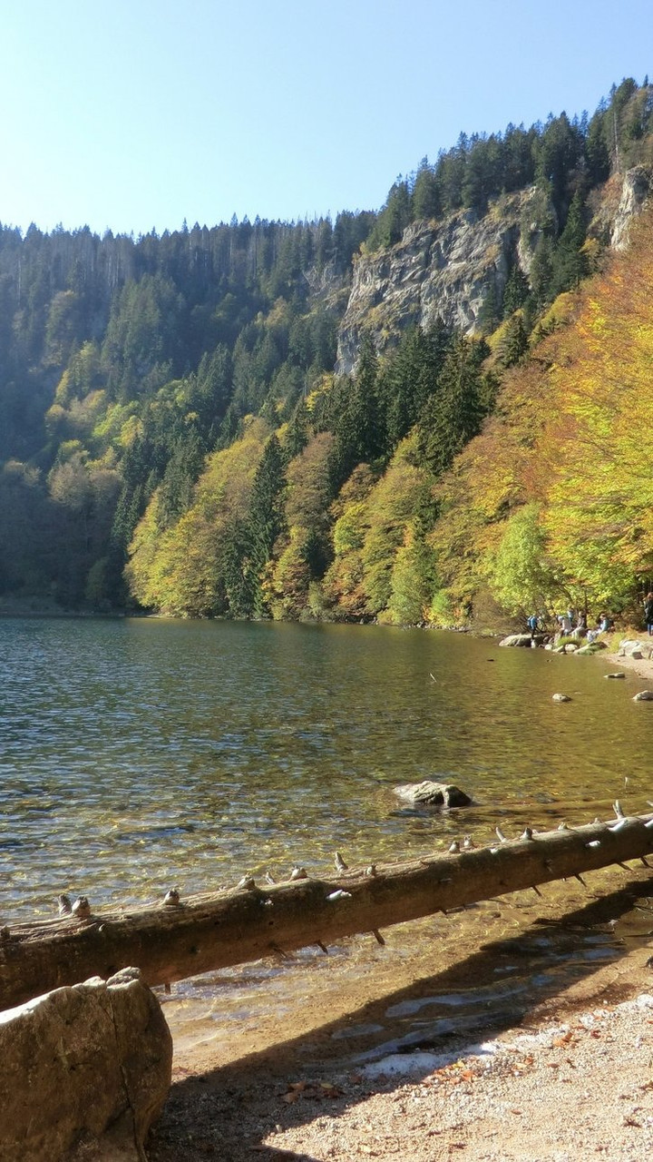 Feldsee