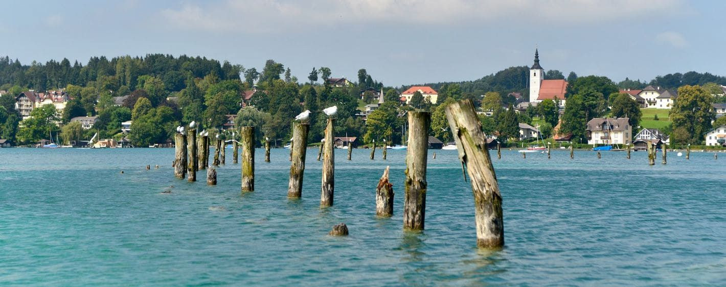 Ufer des Attersees - Salzkammergut - Österreich