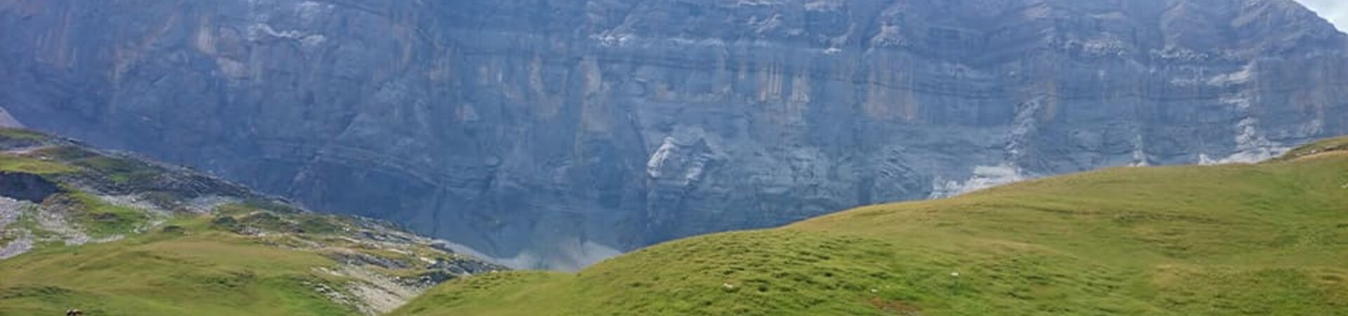 Felswand und Almen - Beaufortain - Frankreich