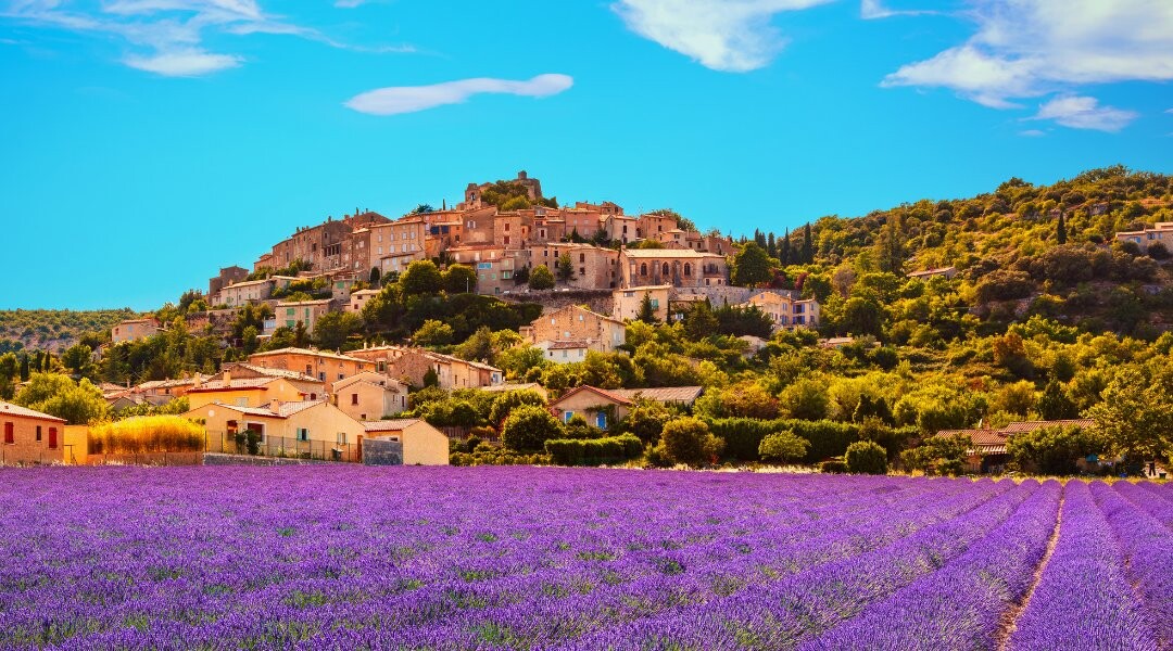 Lavendel