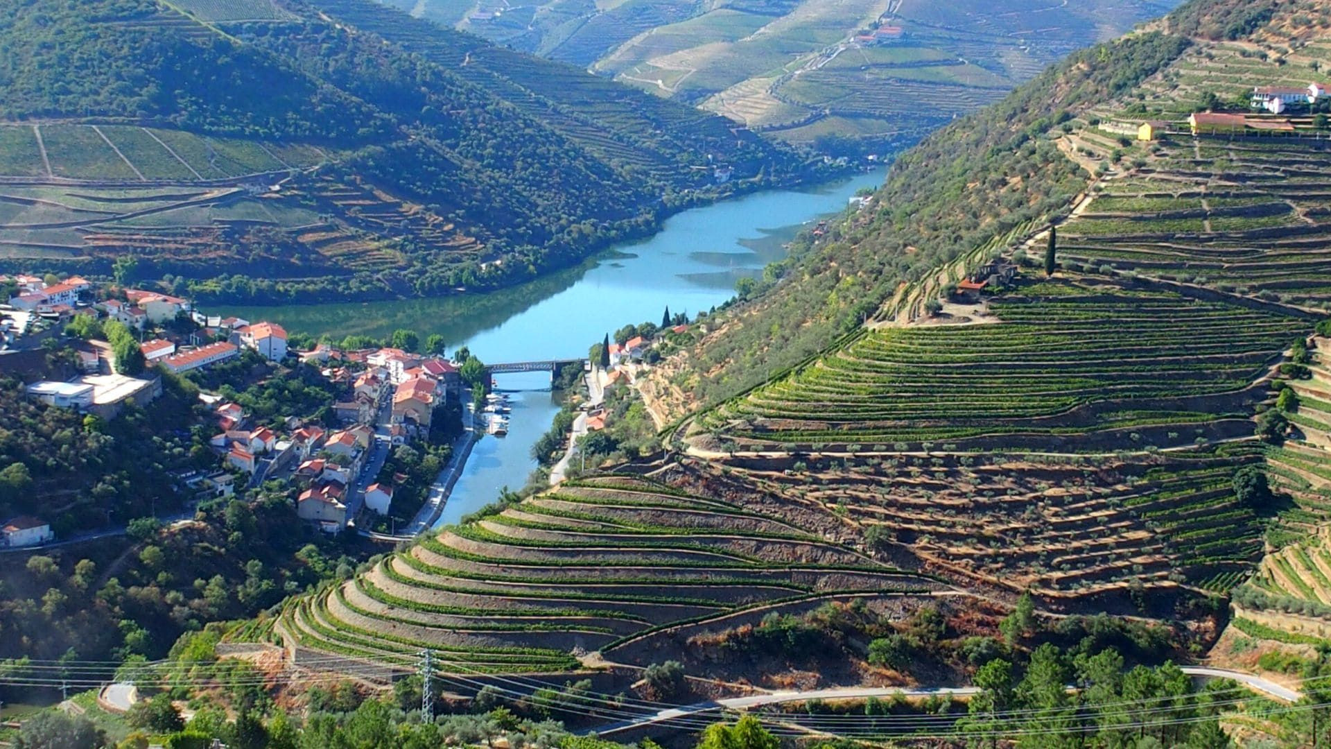 Terrassenweinberge im Douro-Tal - Portugal