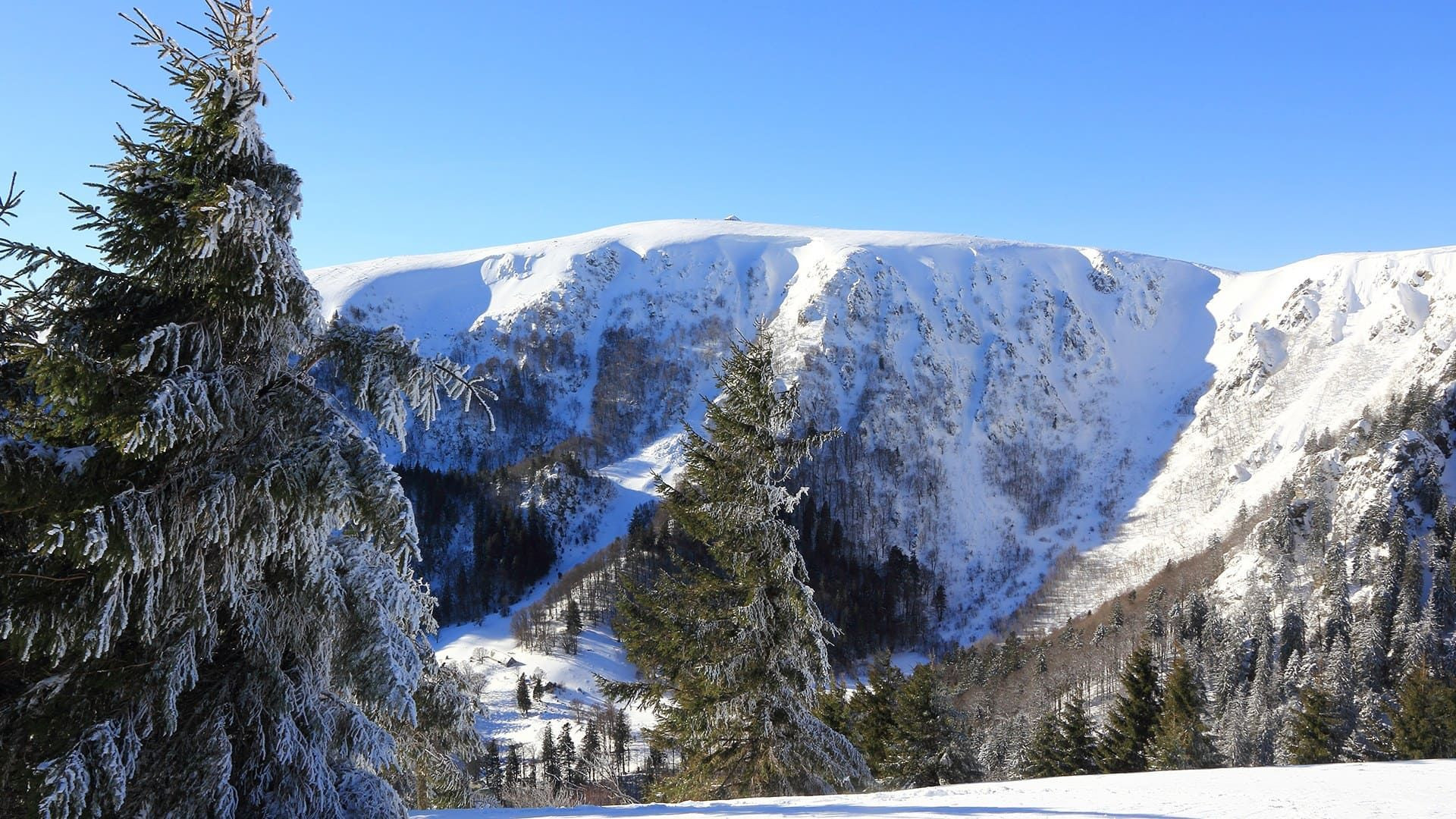 Sapins givrés et cirque enneigé - Vosges - France