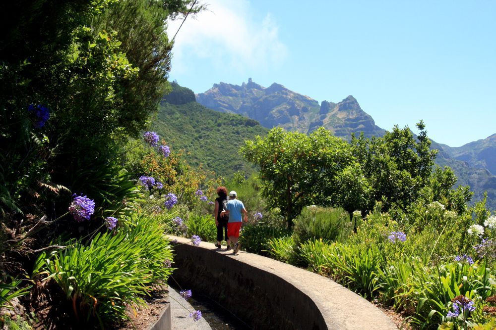 Levada do Norte vor dem Pico Grande