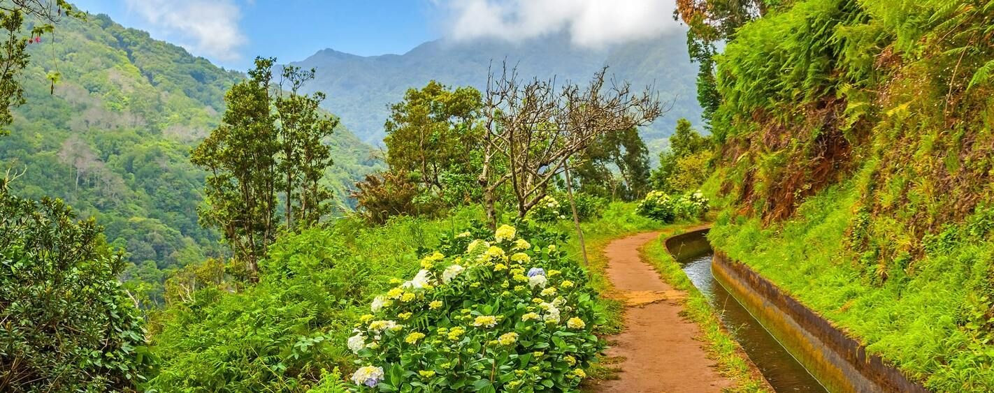 Levada auf Madeira