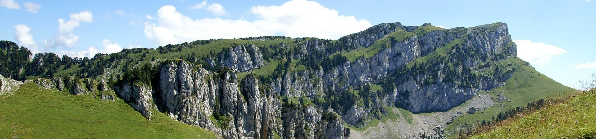 Kalksteinfelsen und grüne Almen - Chartreuse-Massiv - Französische Alpen