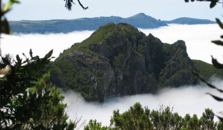 Madeira
