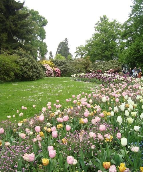 Insel Mainau, die Blumeninsel