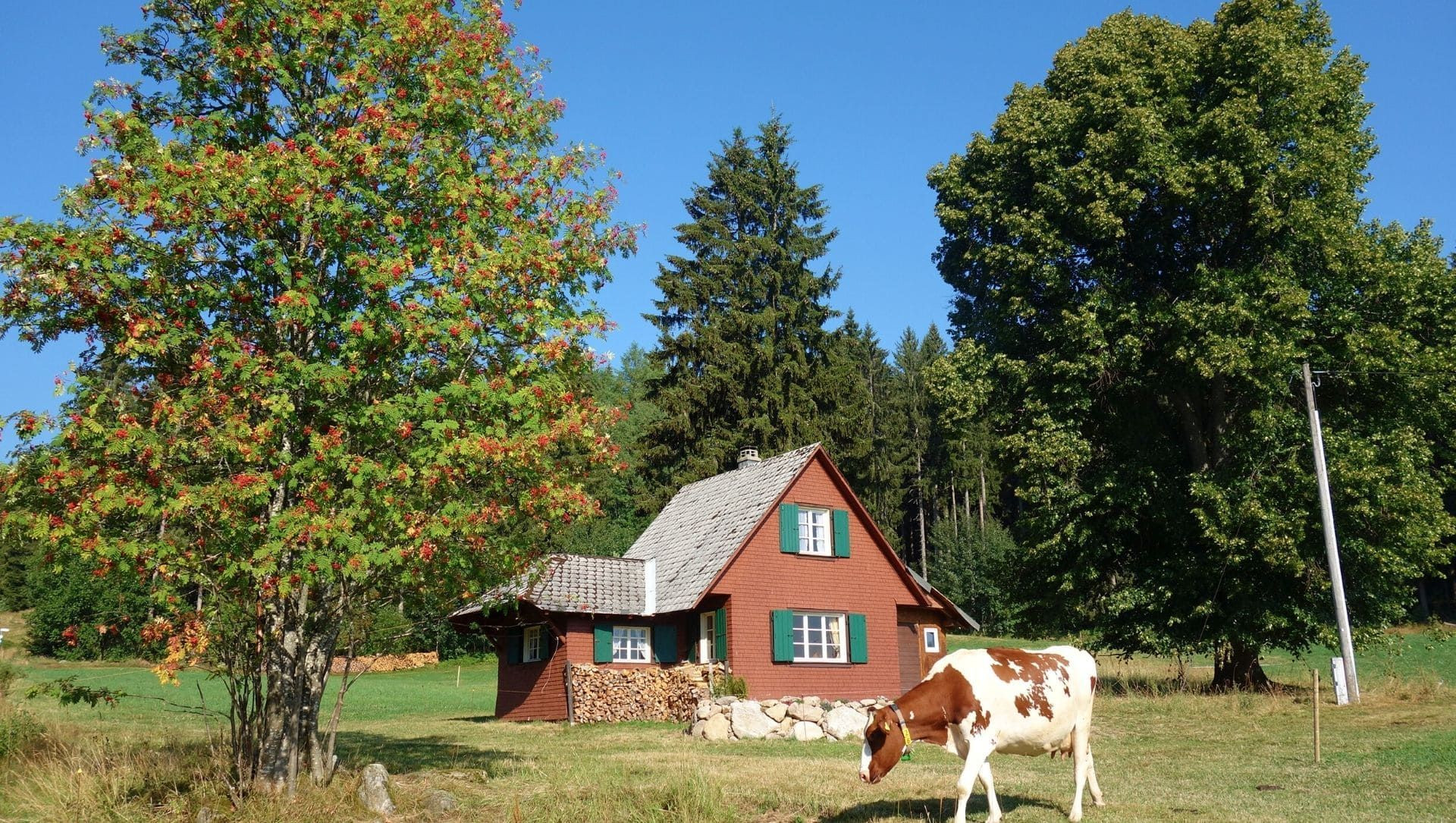 Haus in Hinterzarten - Deutschland